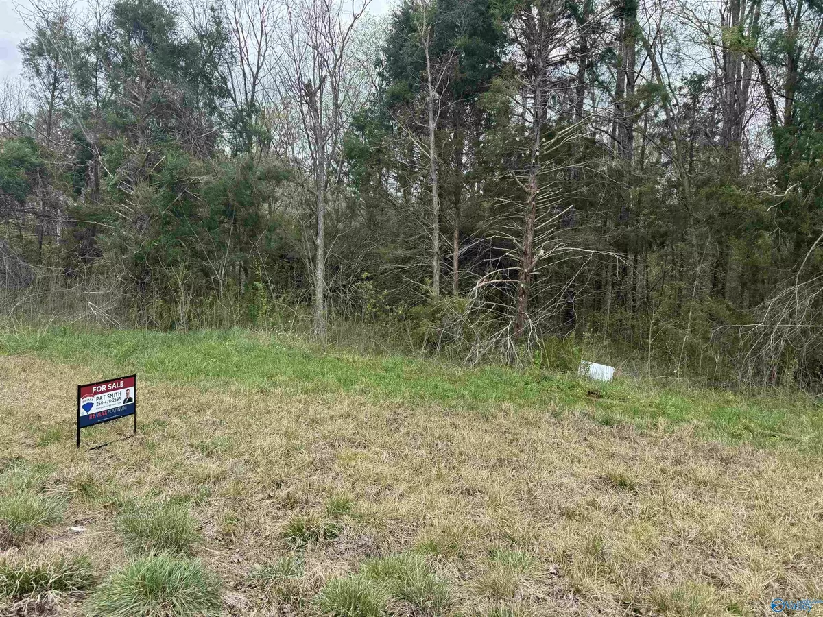 Danville, AL 35619,2 Acres Al Hwy 36