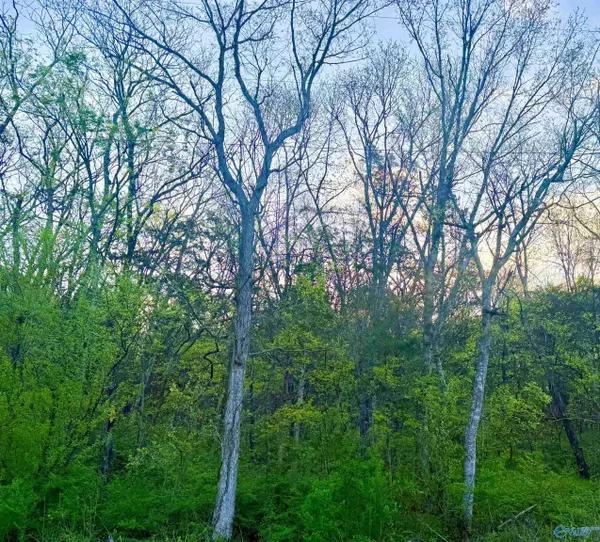 Decatur, AL 35603,4.94 Acres Lyons Road