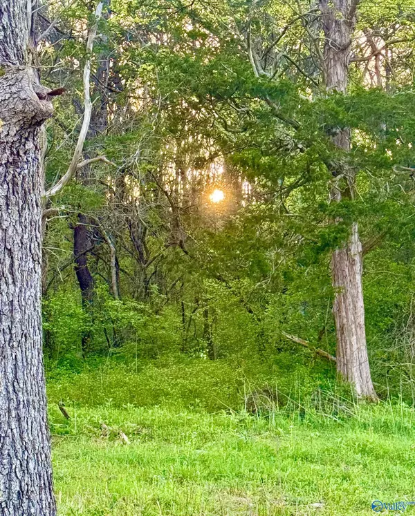 Decatur, AL 35603,4.94 Acres Lyons Road