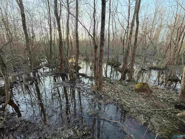 Piedmont, AL 36272,73 Acres County Road 19