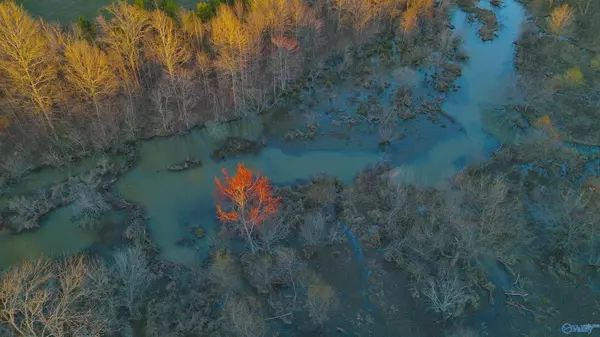 73 Acres County Road 19, Piedmont, AL 36272