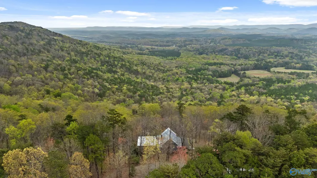 2255 County Road 865, Gaylesville, AL 35973