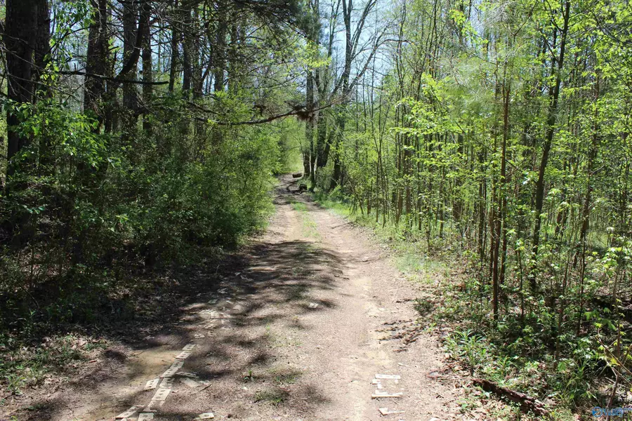 4.8 County Road 122, Fort Payne, AL 35968