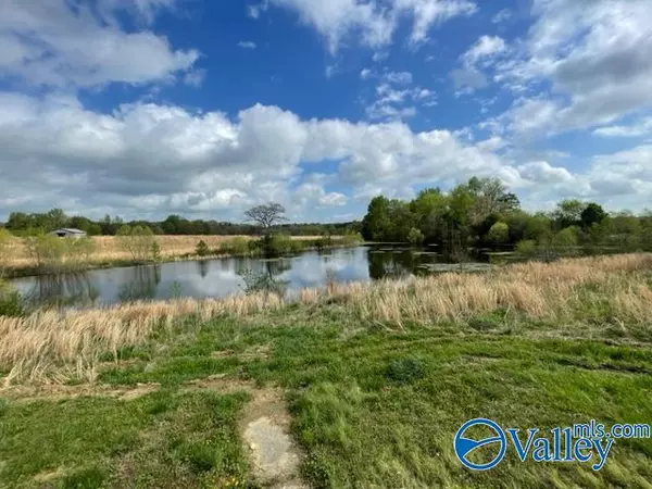 Baileyton, AL 35019,245 County Road 1759