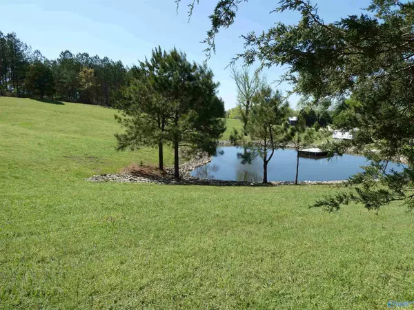 Crane Hill, AL 35053,3.27 Ac County Road 4201