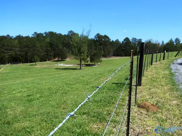 Crane Hill, AL 35053,3.27 Ac County Road 4201