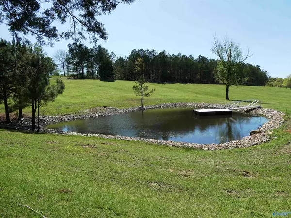 3.27 Ac County Road 4201, Crane Hill, AL 35053