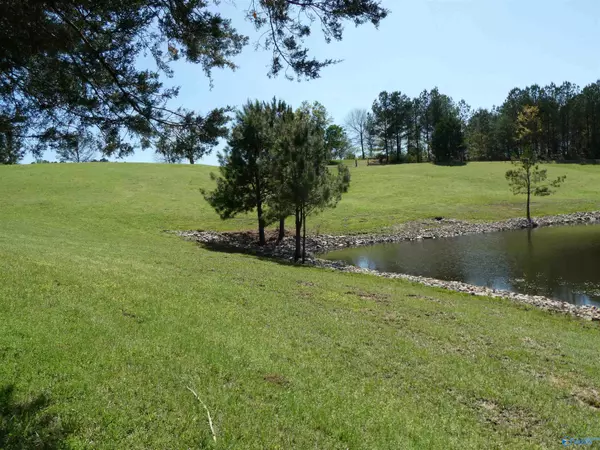 Crane Hill, AL 35053,3.27 Ac County Road 4201