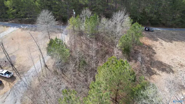 Arley, AL 35441,011 County Road 3782