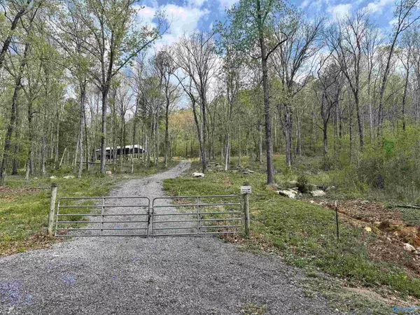 Grant, AL 35747,405 Stewart Hollow Road