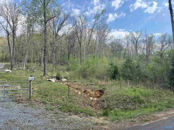 Grant, AL 35747,405 Stewart Hollow Road