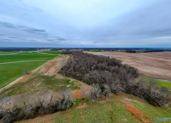 Lot 3 Mack Road, Athens, AL 35611