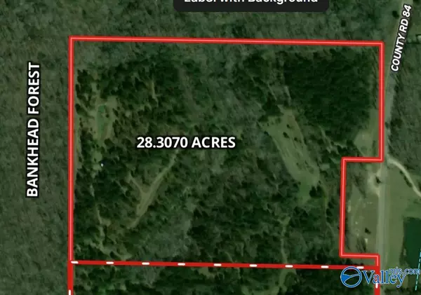 Danville, AL 35619,001 County Road 84