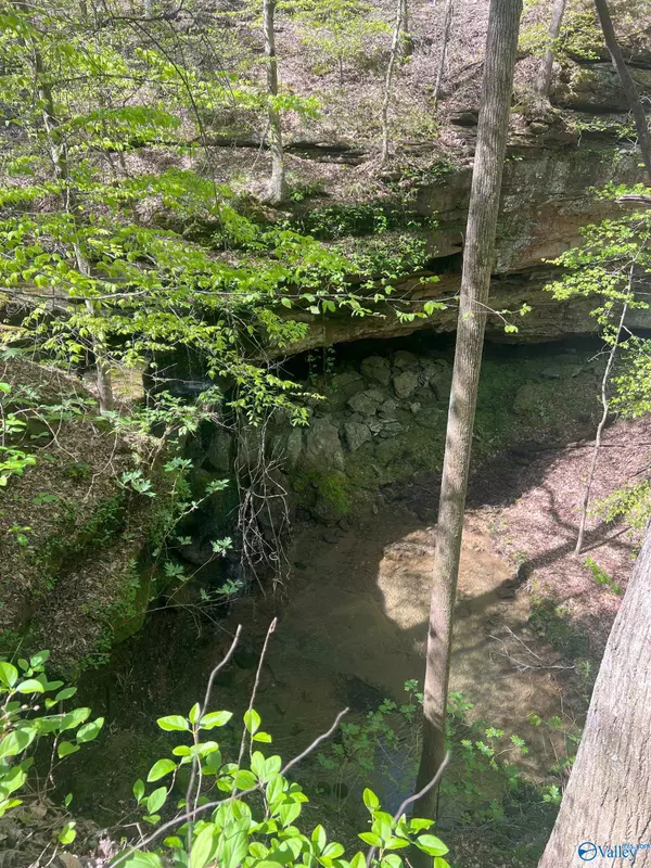 Danville, AL 35619,001 County Road 84