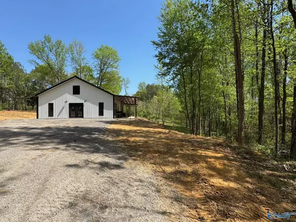 Joppa, AL 35087,3912 Hog Jaw Road