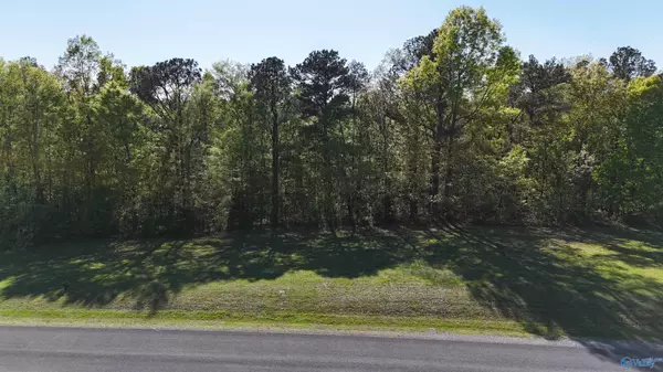 14 Worthington Lane,  Guntersville,  AL 35976