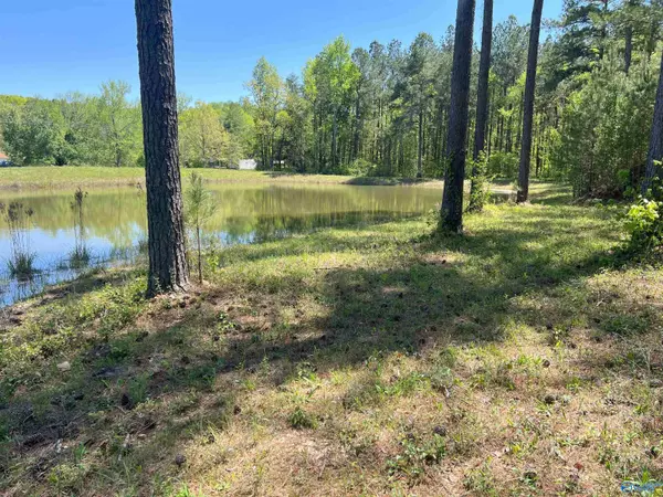 Danville, AL 35619,4319 County Road 76