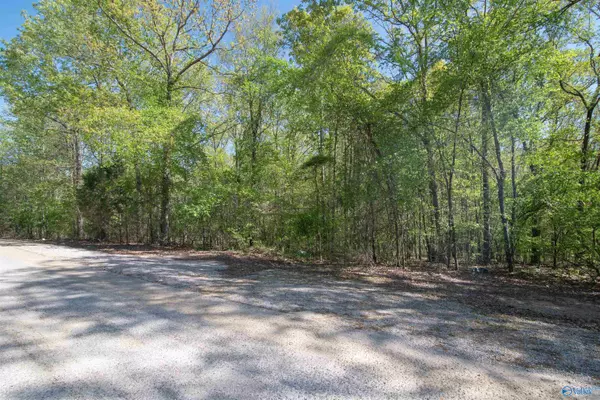 Moulton, AL 35650,LOT 28 County Road 279