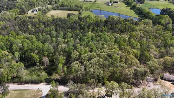 Moulton, AL 35650,LOT 28 County Road 279