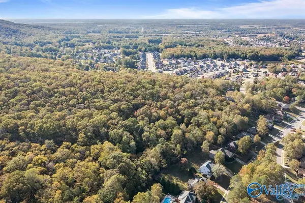 Harvest, AL 35749,11.33 Acres Jeff View Court