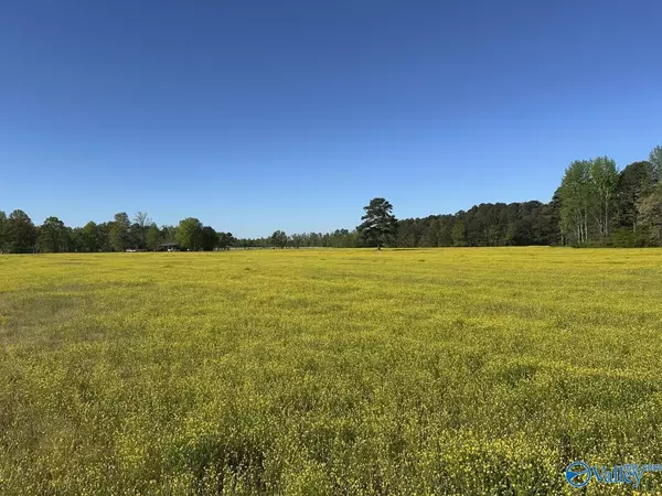 Athens, AL 35611,77 +/- ACRES Parker Road