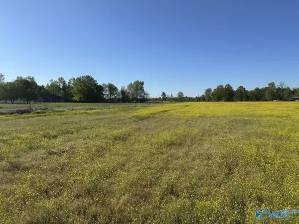 Athens, AL 35611,77 +/- ACRES Parker Road