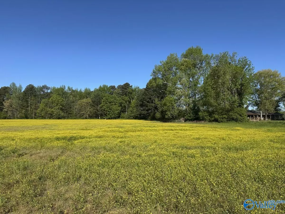 Athens, AL 35611,77 +/- ACRES Parker Road