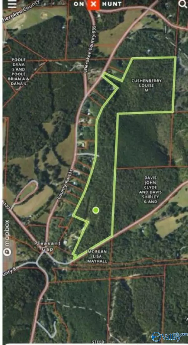 Piedmont, AL 36272,89 Acre County Road 8