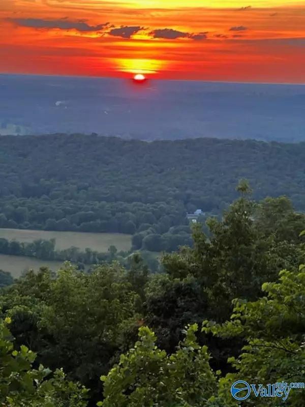 lot 21 County Road 89, Mentone, AL 35984