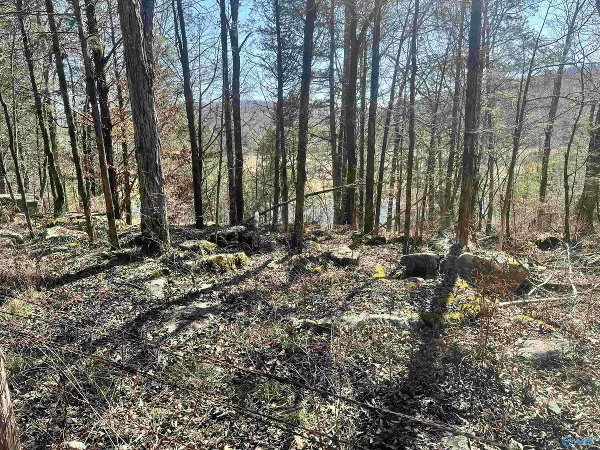 Woodville, AL 35776,21 Acres Cathedral Caverns Hwy