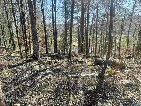 21 Acres Cathedral Caverns Hwy, Woodville, AL 35776