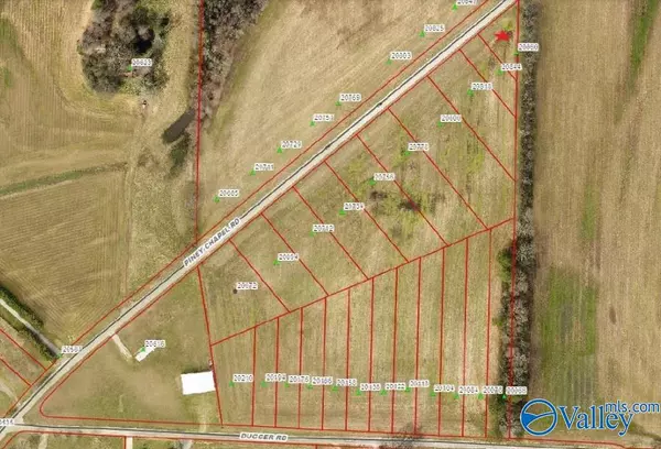 20860 Piney Chapel Road, Athens, AL 35614