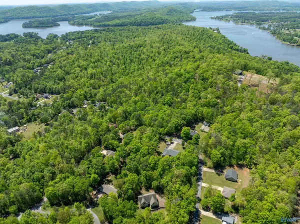 lot 28 Prince Drive, Southside, AL 35907