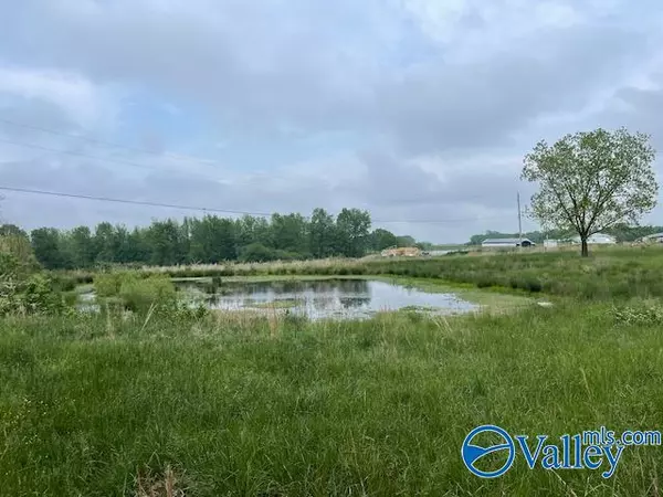 Fyffe, AL 35971,1894 County Road 76