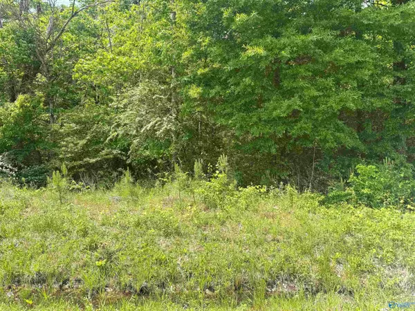 Glencoe, AL 35903,3.78 acres Alfest Blvd