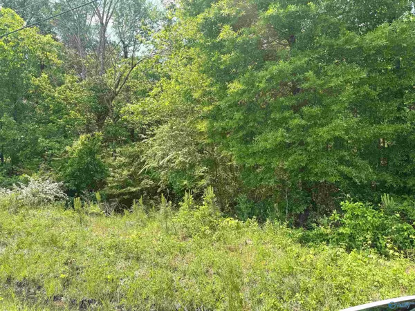 Glencoe, AL 35903,3.78 acres Alfest Blvd