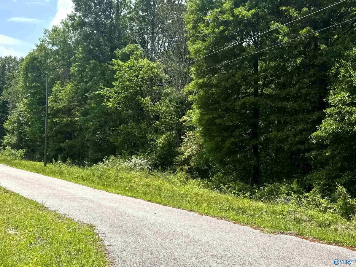 Glencoe, AL 35903,3.78 acres Alfest Blvd