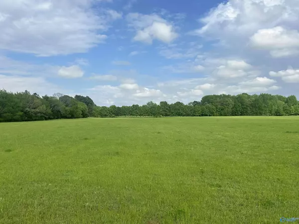 Lot 4 Tillman Mill Road, Athens, AL 35614