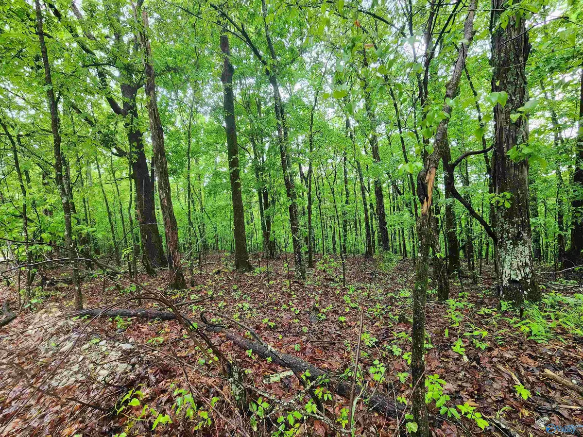 Laceys Spring, AL 35754,Lot 0 Huskey Mountain Road