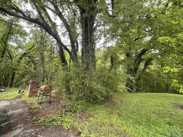 Cherokee, AL 35616,Lot 8 Adams Street