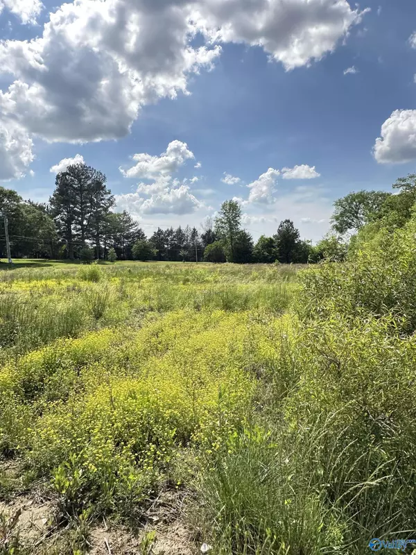 Moulton, AL 35650,365 Morgan Street