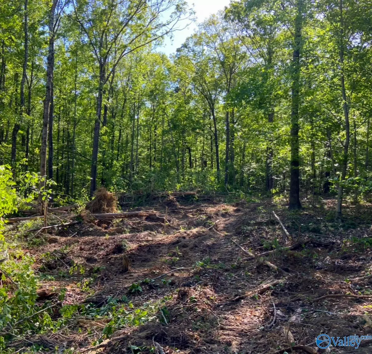 Moulton, AL 35650,1 Acre County Road 279