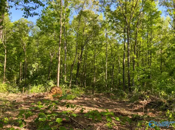 Moulton, AL 35650,1 Acre County Road 279