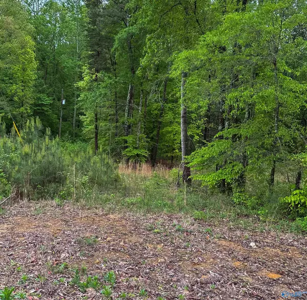 Moulton, AL 35650,1 Acre County Road 279