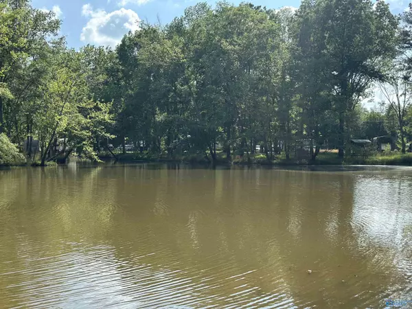 Cedar Bluff, AL 35959,1725 County Road 182 #18