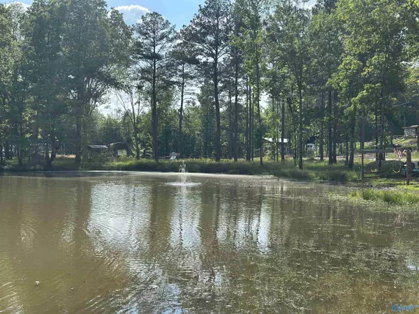 Cedar Bluff, AL 35959,1725 County Road 182 #18