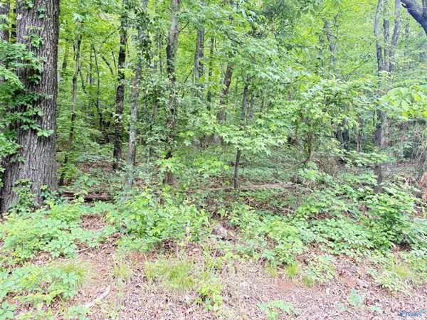 Scottsboro, AL 35769,Lot 72 Holiday Shores Road