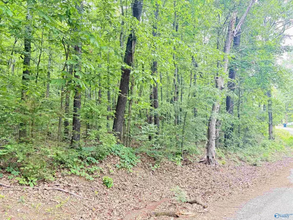 Scottsboro, AL 35769,Lot 72 Holiday Shores Road