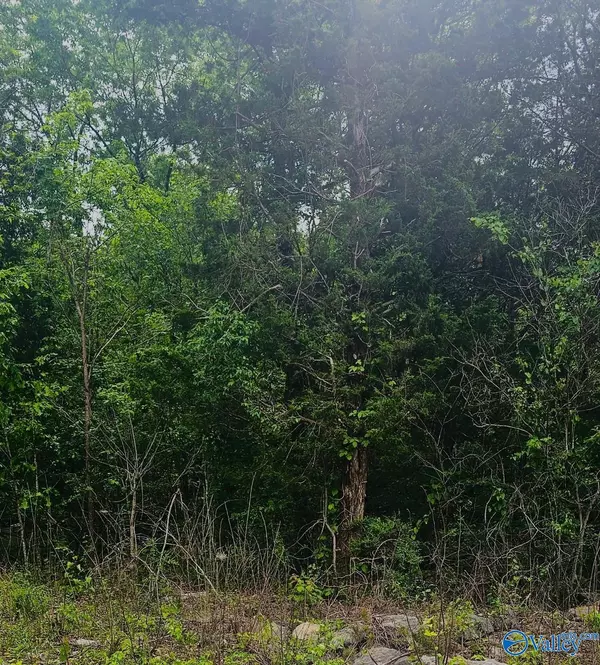 2.0 Acres County Road 84, Danville, AL 35619