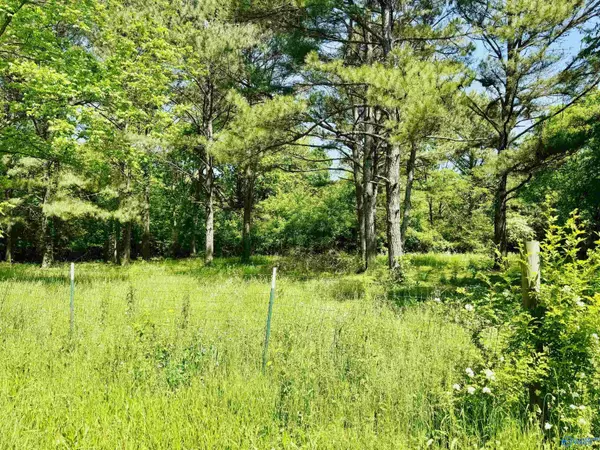 Athens, AL 35611,Lot 17 Acorn Hill Circle